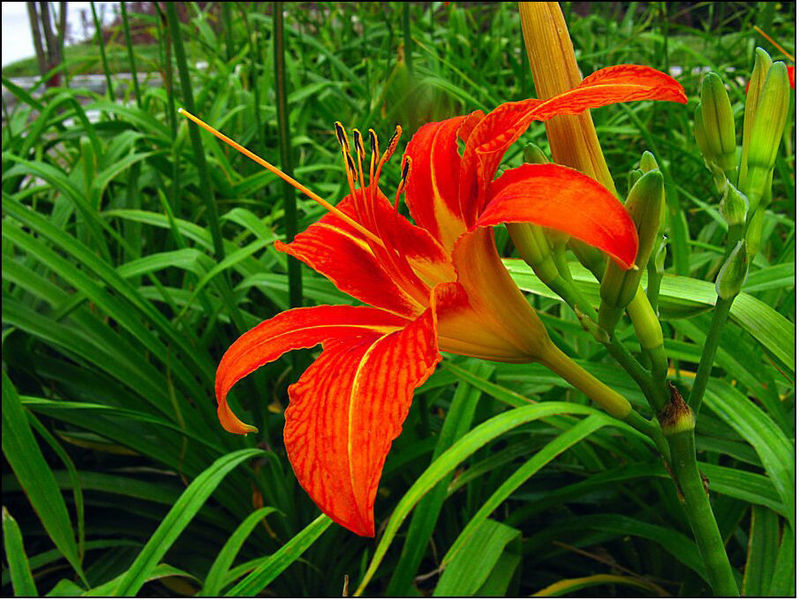  p>母亲节(mothers day),是一个感谢母亲的 a target="_blank" href=