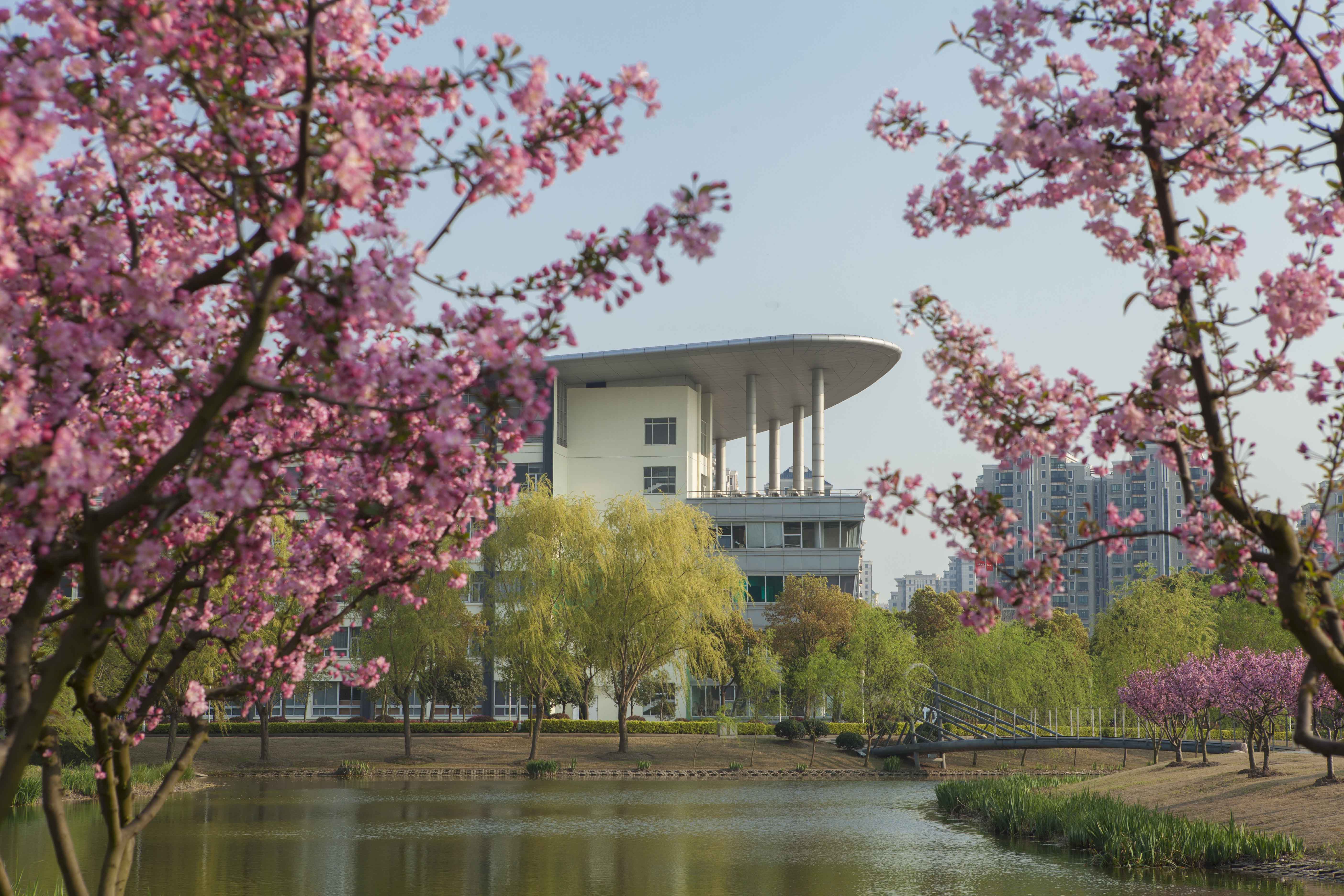 上海艺术视觉学院