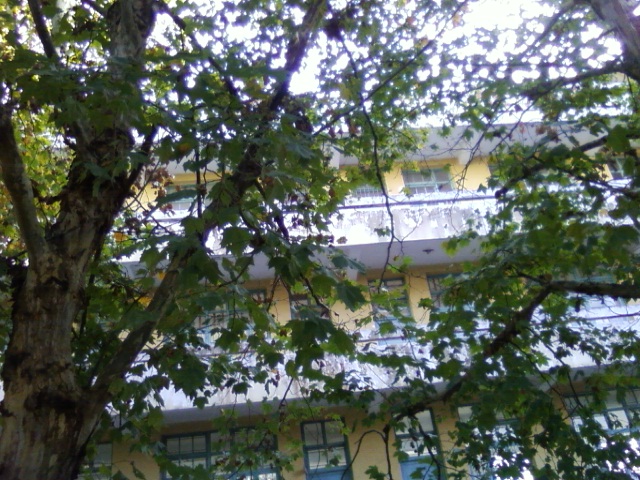 福清东张中学