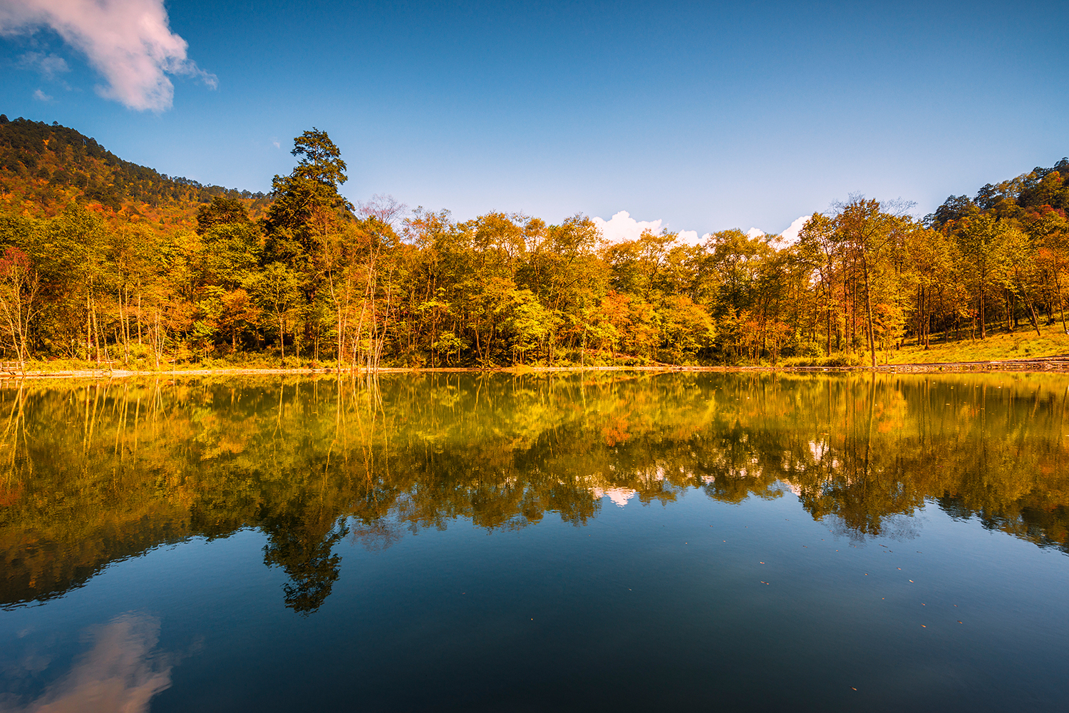 二郎山喇叭河风景区