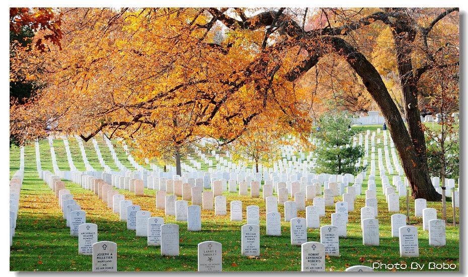  p> a href="#">阿灵顿 /a>国家公墓(arlington national cemetery)