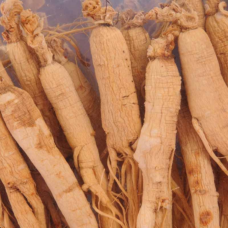  p>生晒参为一种商品人参,为人参根挖出后洗净晒干的产品.