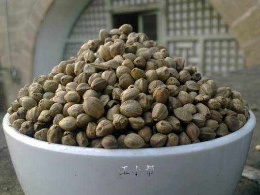 麻子（一种食品，甘陕特产）_百度百科