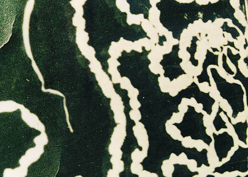 ="gnx5y5cnrs"> a target="_blank" href="/item/链状带绦虫/1546162"