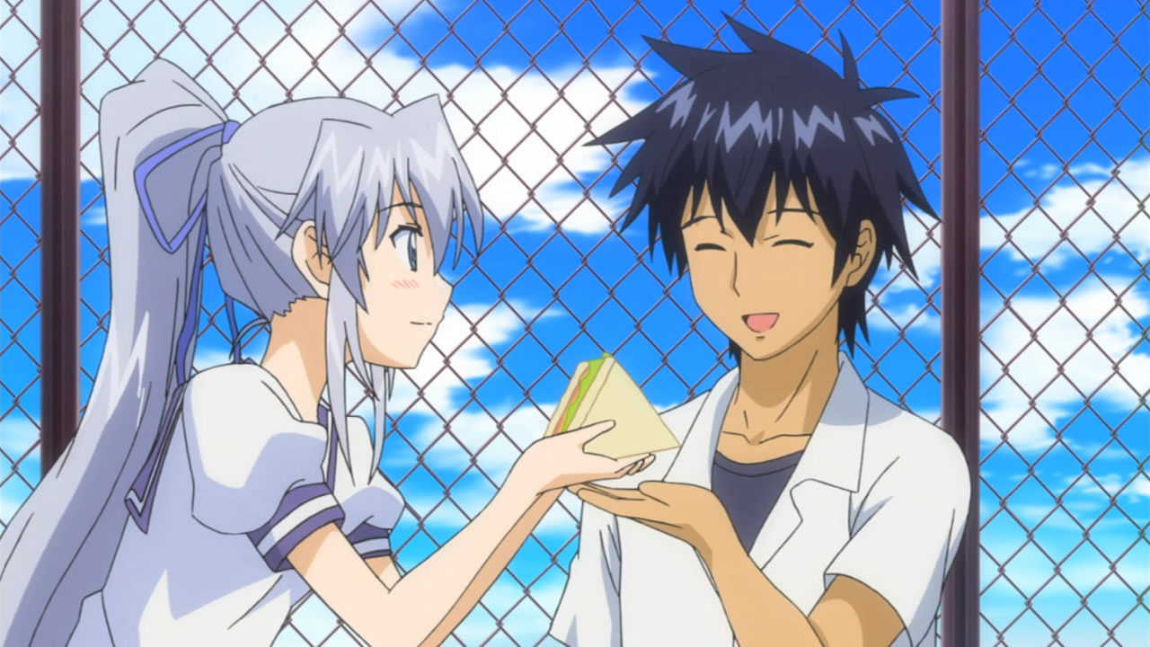 80373" data-lemmaid="80373">campione 弑神者! /a>》中的女主角.