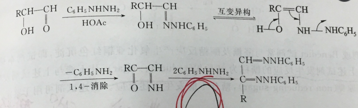 脎（含两个相邻腙基的一类碱性化合物）_百度百科