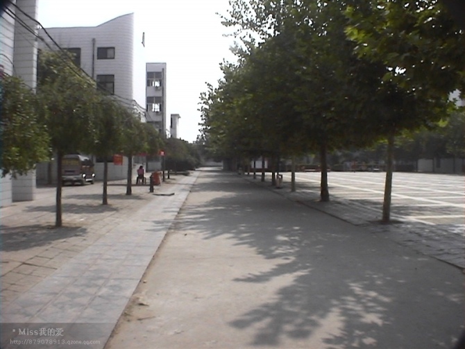 data-lemmaid="1065264">尉氏县 /a>第一中学,简称尉氏一中,2005年11