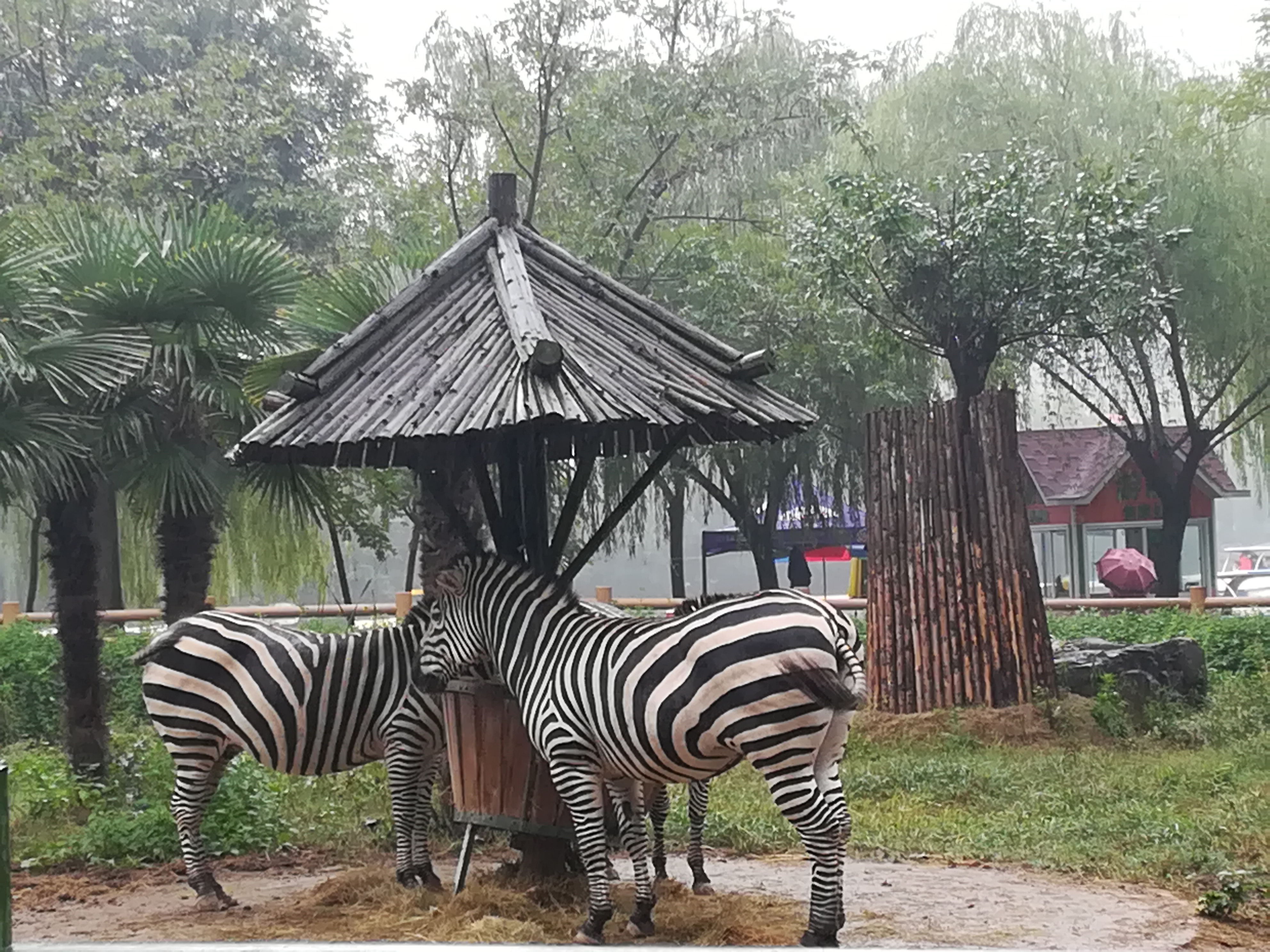  p>郑州市动物园(zhengzhou zoo)位于 a target="_blank" href="/item