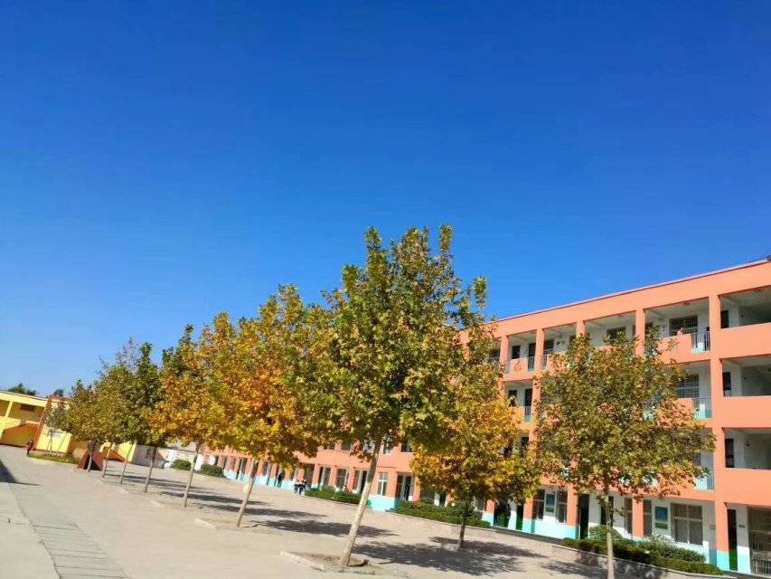  p data-id="gnb43lz9x9">曹城办中学(曹城镇中学,曹城中学)位于山东