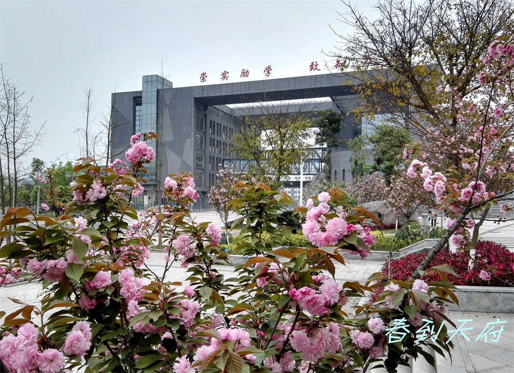 老窖天府中学(luzhoulaojiao tianfu middle school),简称"泸州二中"
