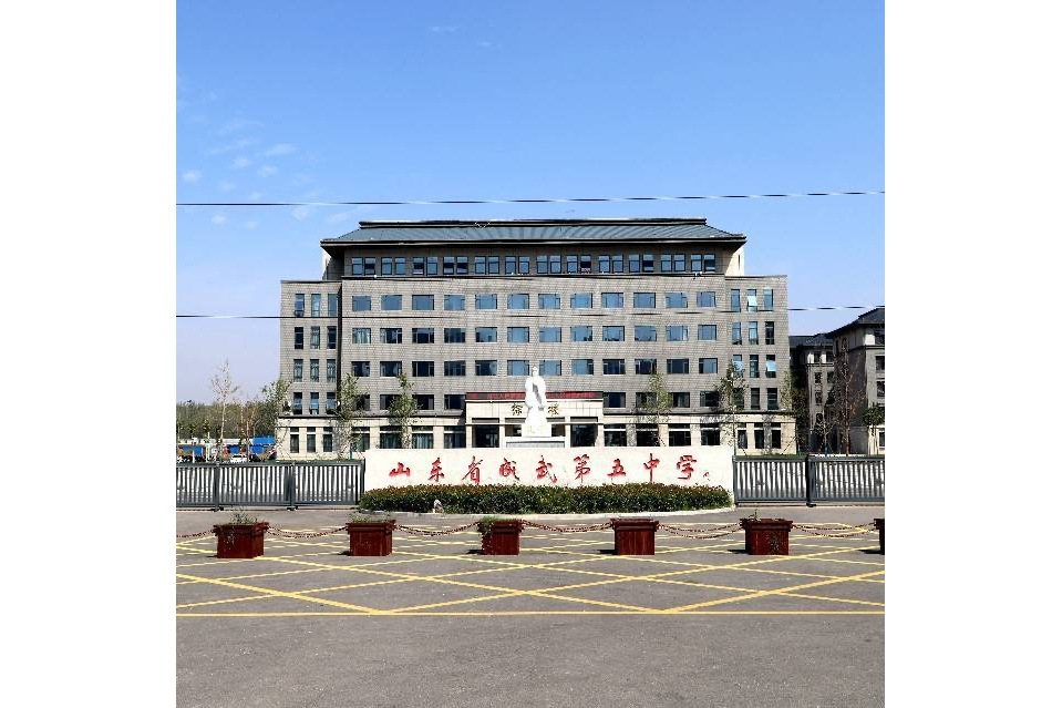 山东省成武第五中学