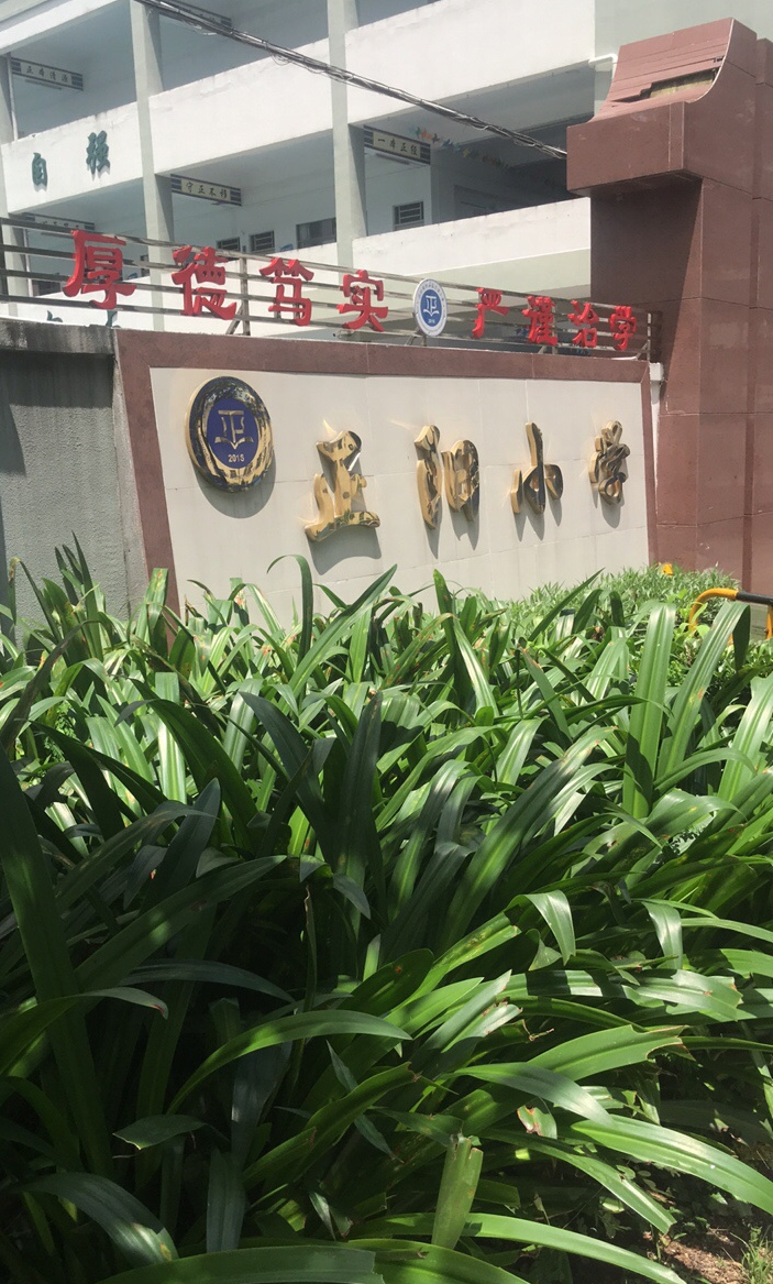深圳市坪山新区正阳小学