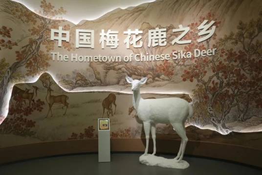 中国双阳梅花鹿博物馆_百度百科
