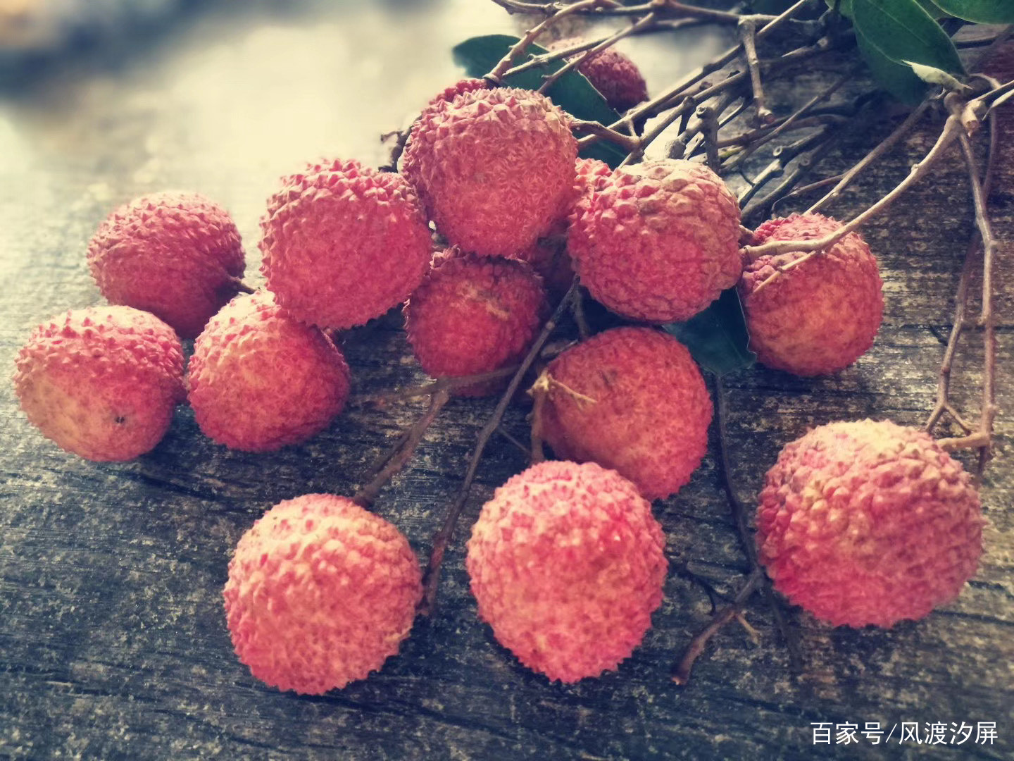 夏至，又是一年荔枝红_百科TA说