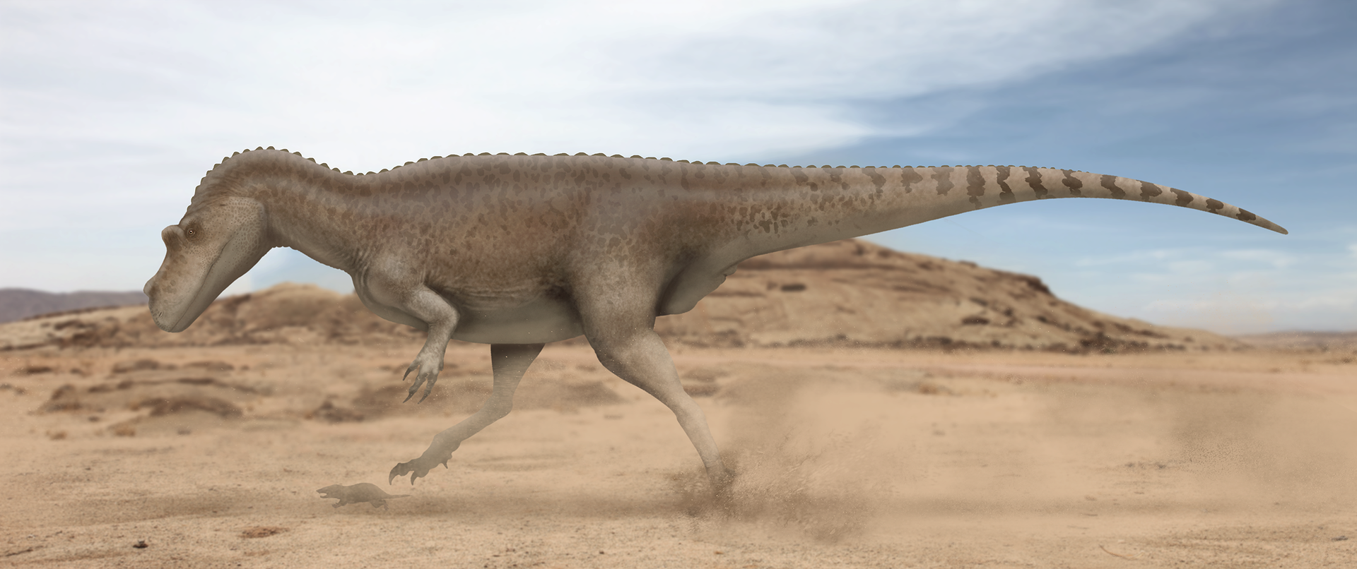 >角鼻龙下目 /a>的一属 a target="_blank" href="/item/恐龙/139019"