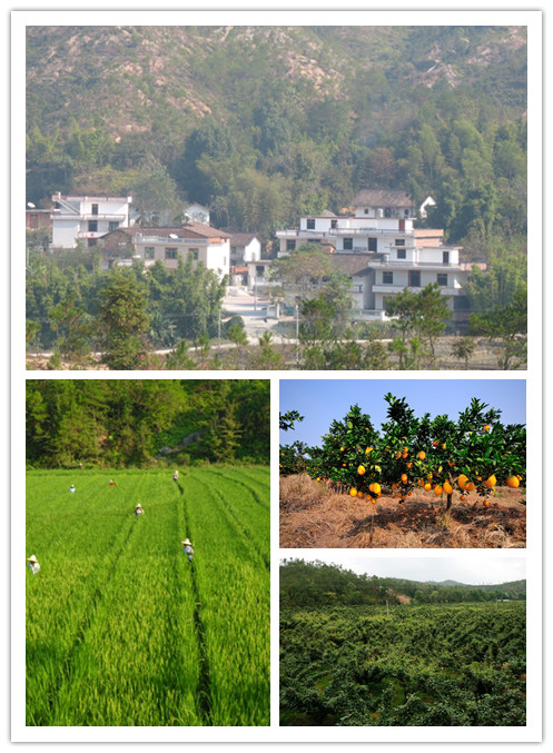 ="ref" data-ctrid="sairwbjn7poj">2021年1月19日撤销兴国县永丰乡