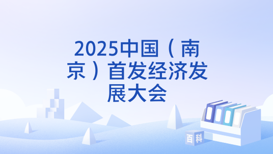 2025中国（南京）首发经济发展大会_百度百科