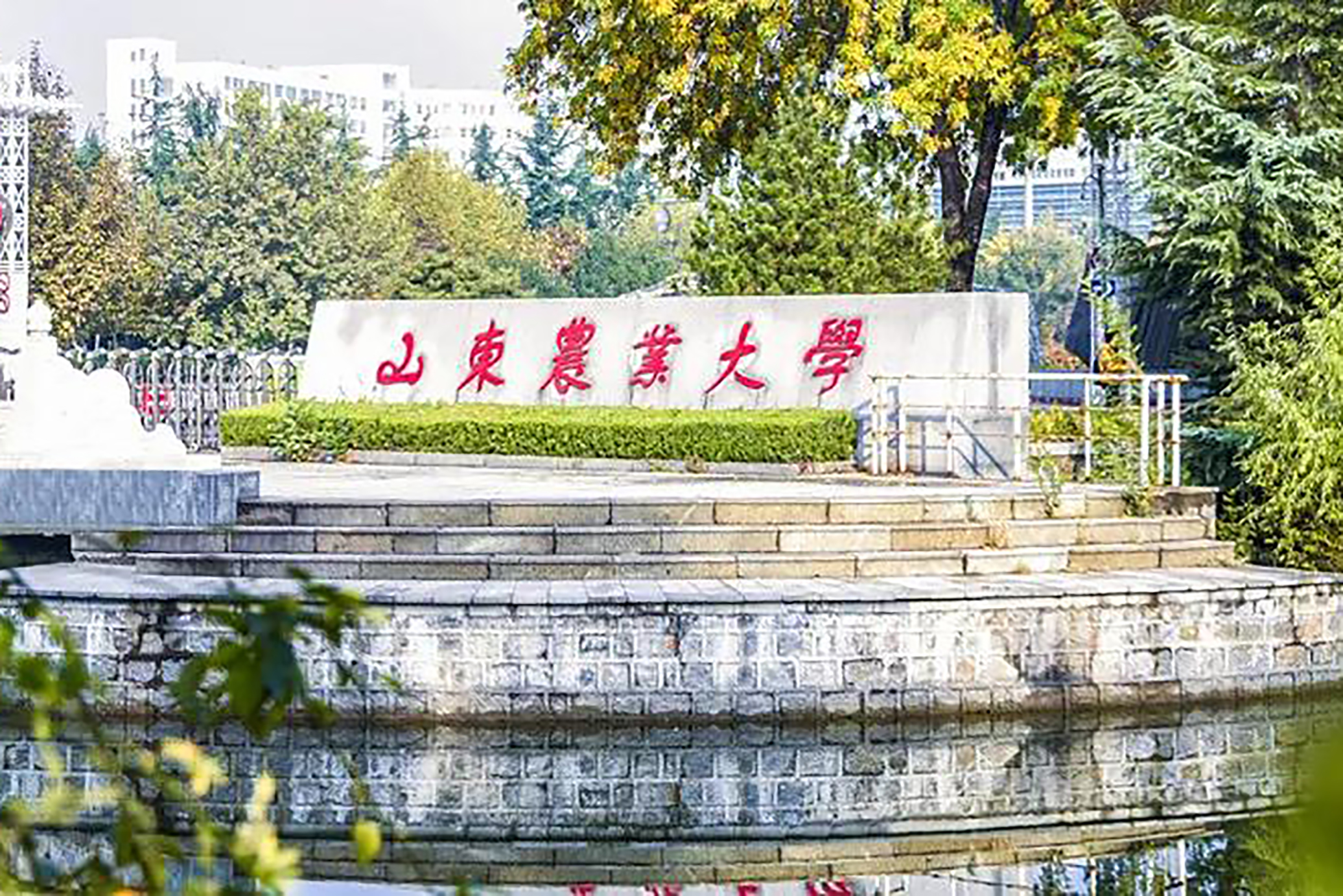山东农业大学