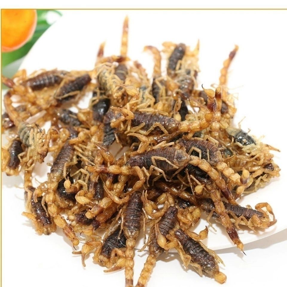 油炸全蝎