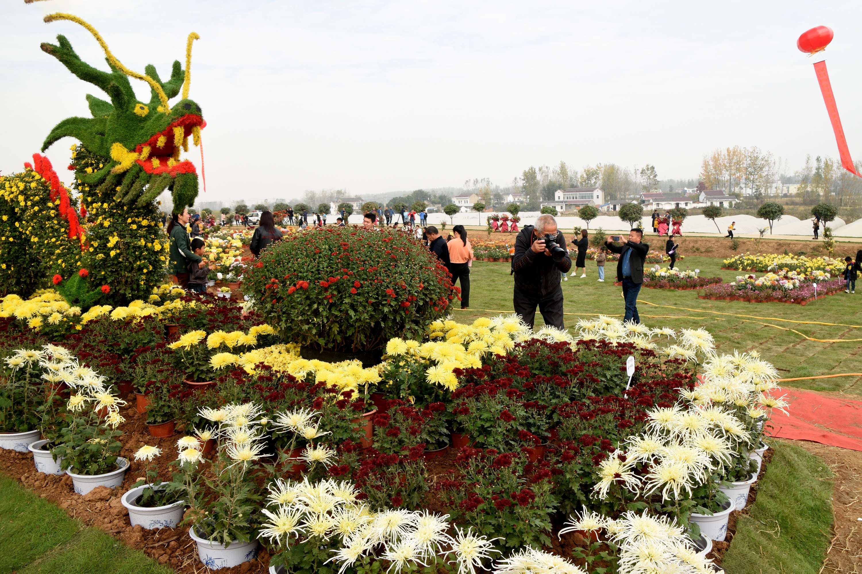  p>花园镇,隶属于安徽省六安市霍邱县,地处 a target="_blank" href="