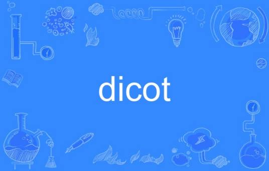 dicot_百度百科