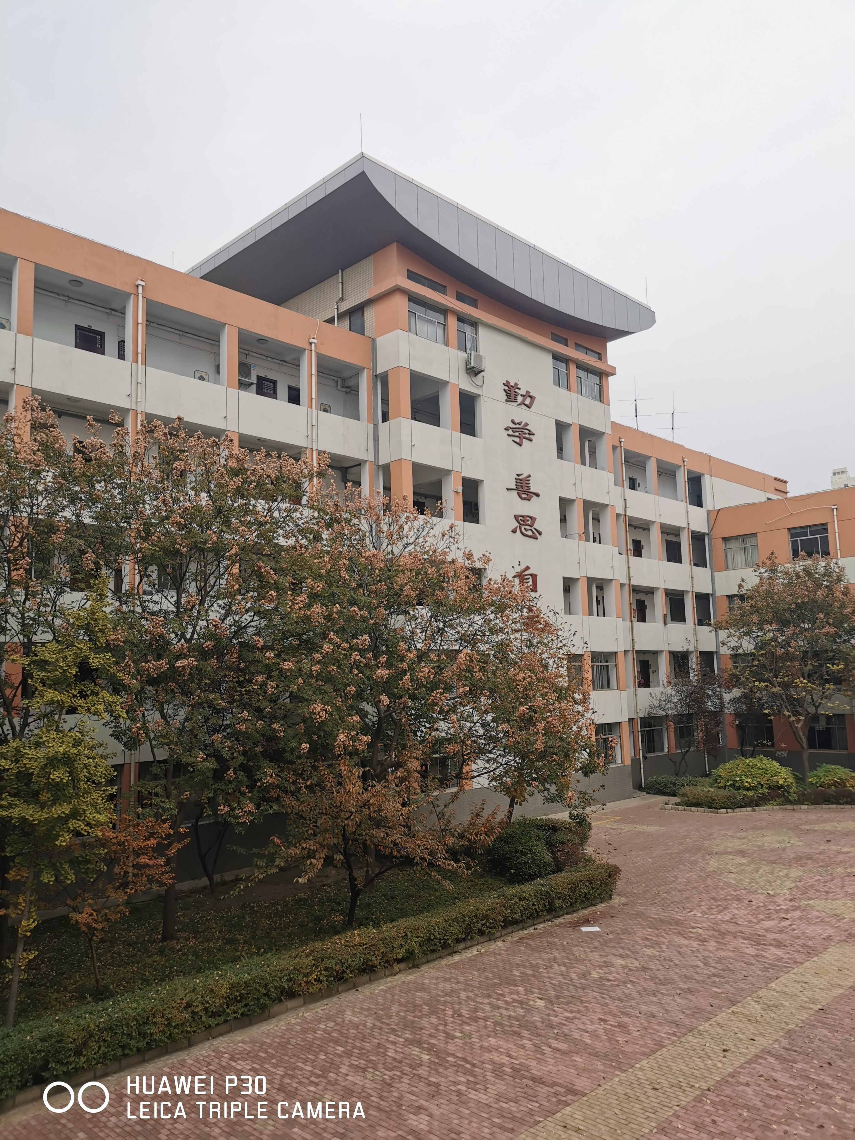 山东省淄博市张店七中