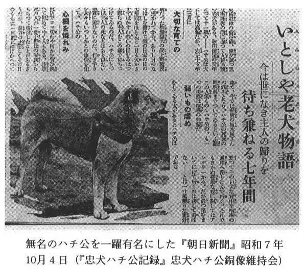 " data-lemmaid="111617">日本 /a>历史上一条具有传奇色彩的忠犬