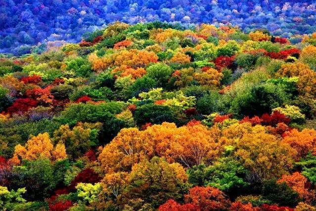  p>金龙山森林公园是 a target="_blank" href="/item/甘肃">甘肃 /a>