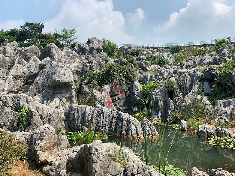  p data-id="gn3nqxwlev">安徽丫山地质公园是位于安徽省芜湖市南陵县