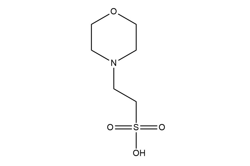 4-吗啉乙磺酸