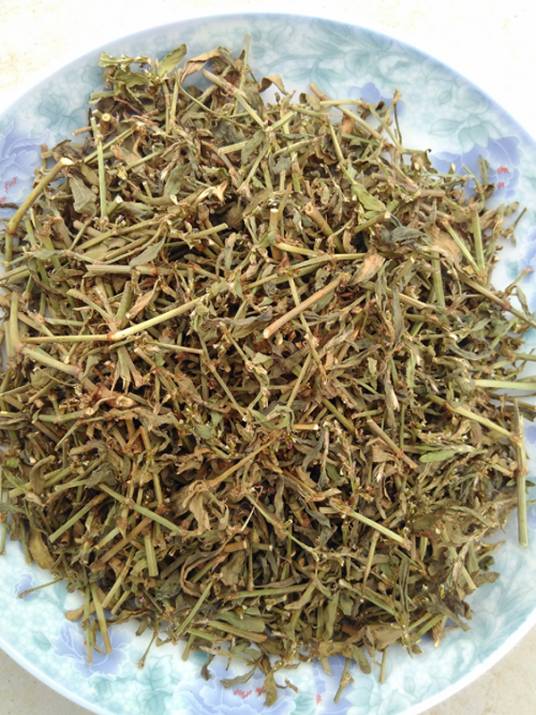 扁蓄茶_百度百科