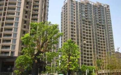 良渚文化村白鹭郡