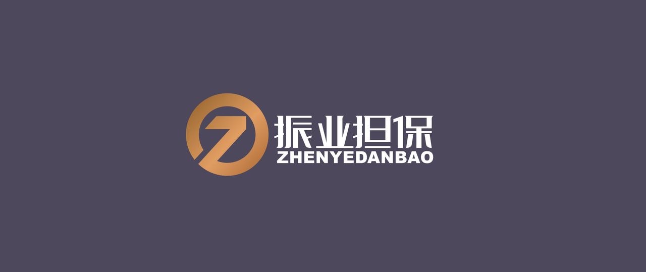 深圳市振业担保有限公司