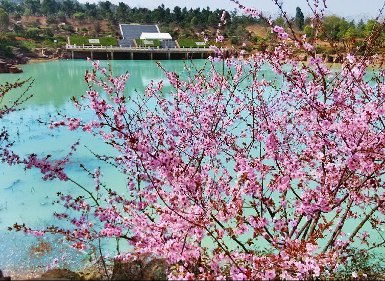 武汉幸福山生命公园