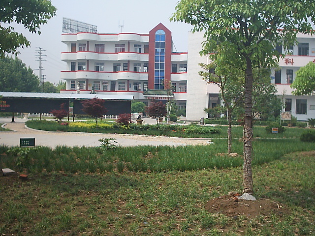 丹阳市新桥中心小学