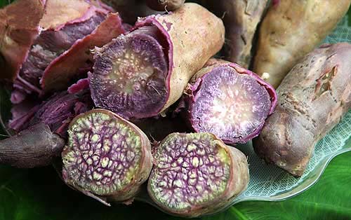  p>阳西县,隶属广东省 a target="_blank" href="/item/阳江市