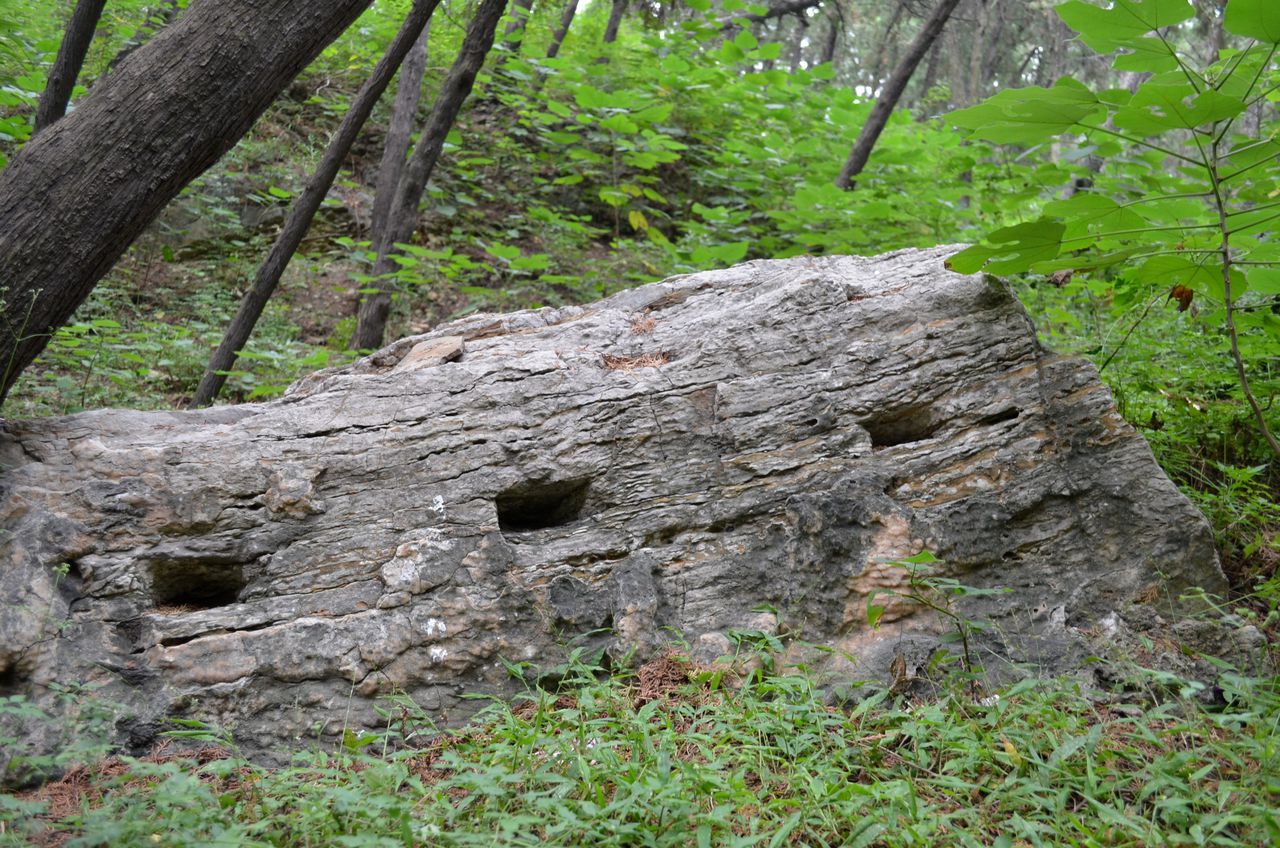 又名高里山,英雄山,位于山东省 a target="_blank" href="/item/泰安