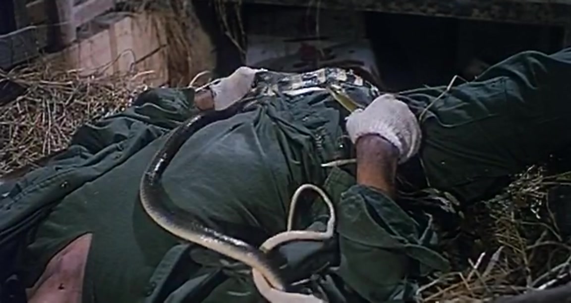  p>电影概述:这是一部青春历险片.