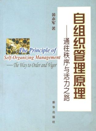 自组织管理原理