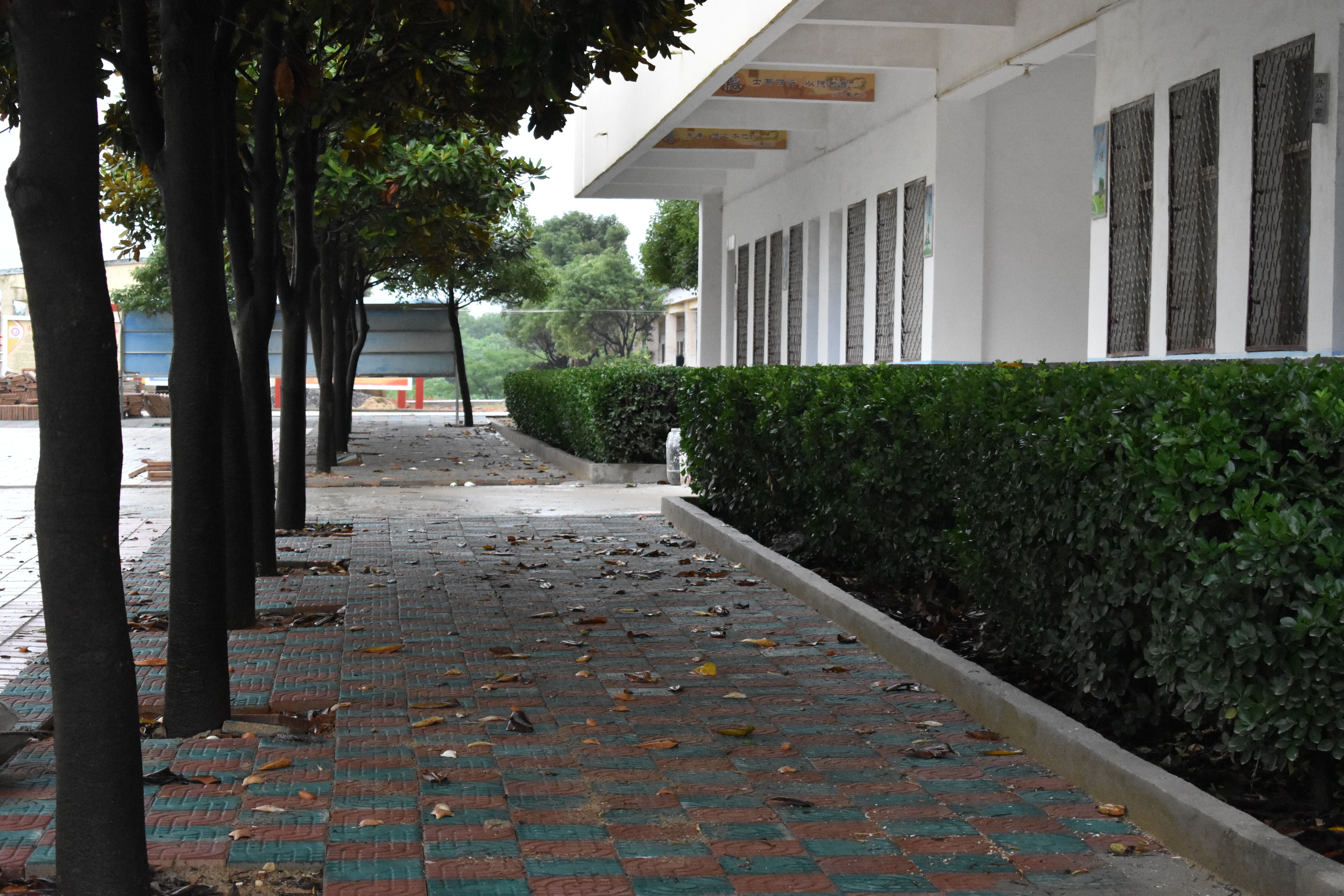  p>宿松县许岭初级中学始建于2002年,由原许岭高级中学初中部和灯塔