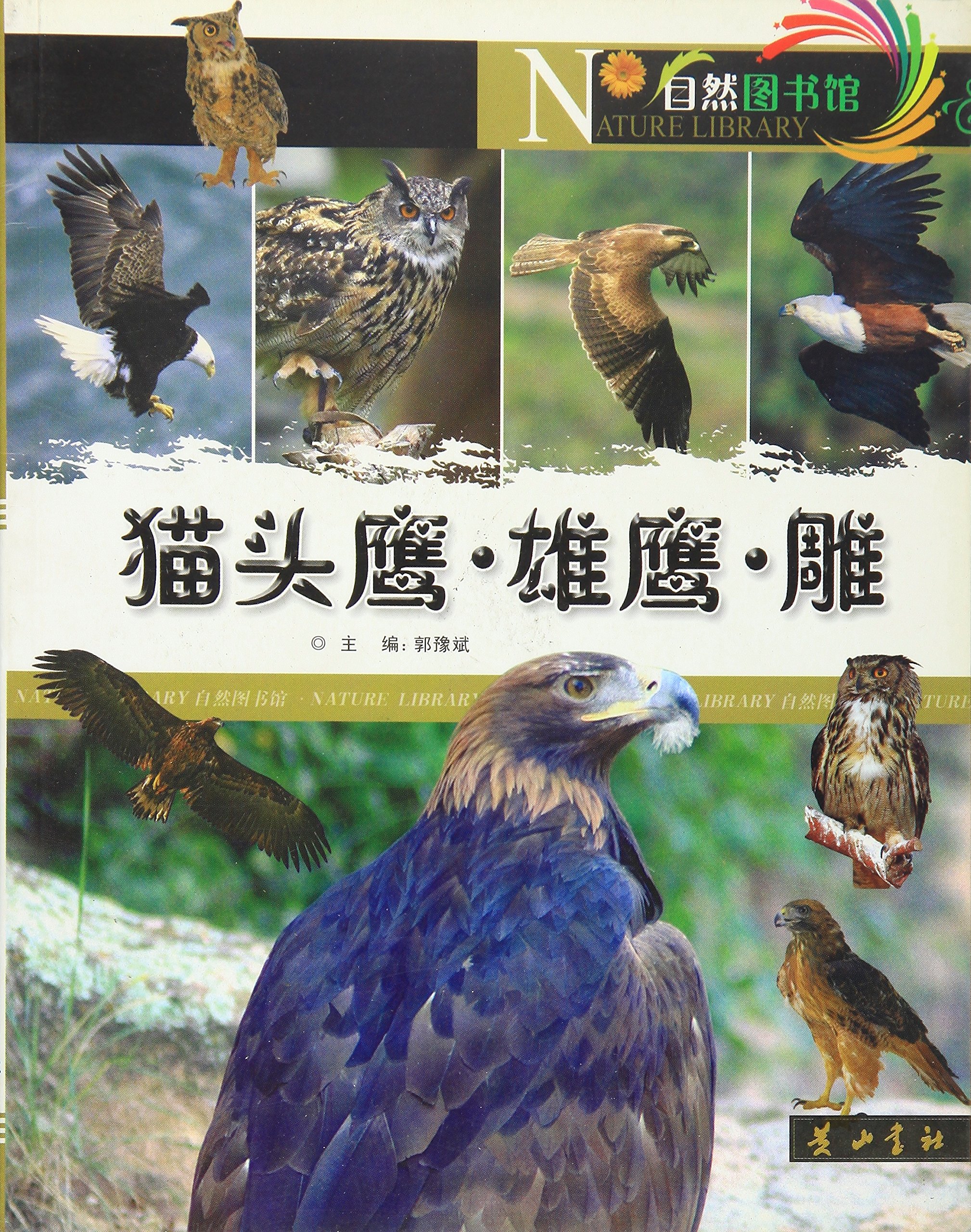 猫头鹰雄鹰雕/自然图书馆