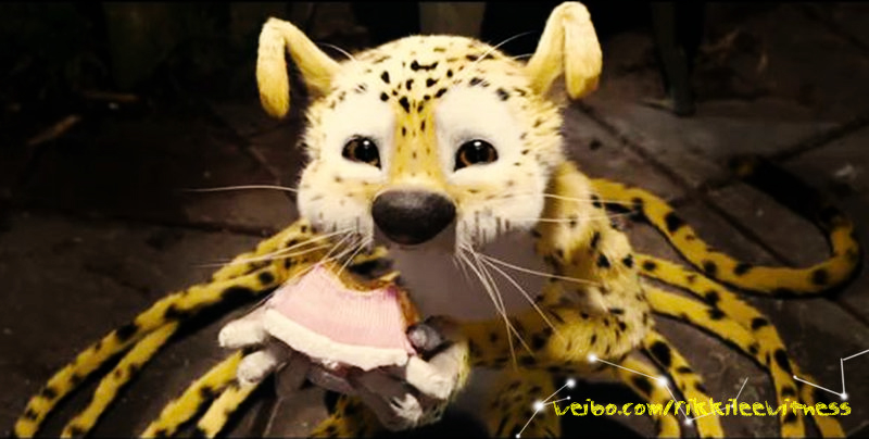 追踪长尾豹马修