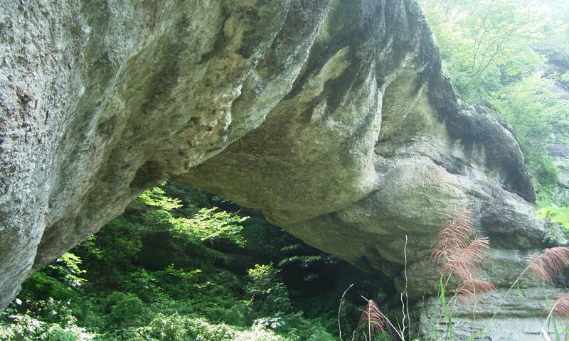  p>石鹅岩为位于武义县城西7公里处的桃溪滩乡境内的一处风景区.