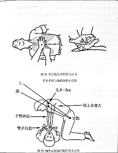 小学生安全知识