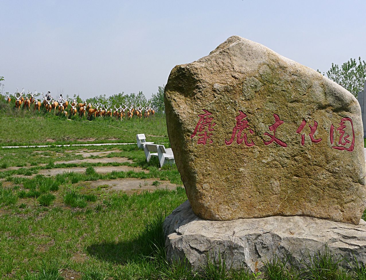 江苏大丰麋鹿国家自然保护区