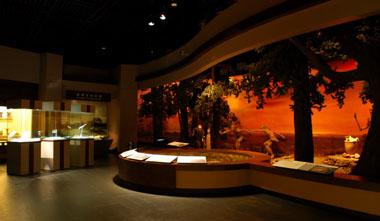 上海青浦博物馆