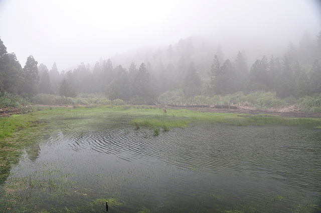  p data-id="gnx15sz65m">梦幻湖是位于中国台湾省台北市北投区的一个