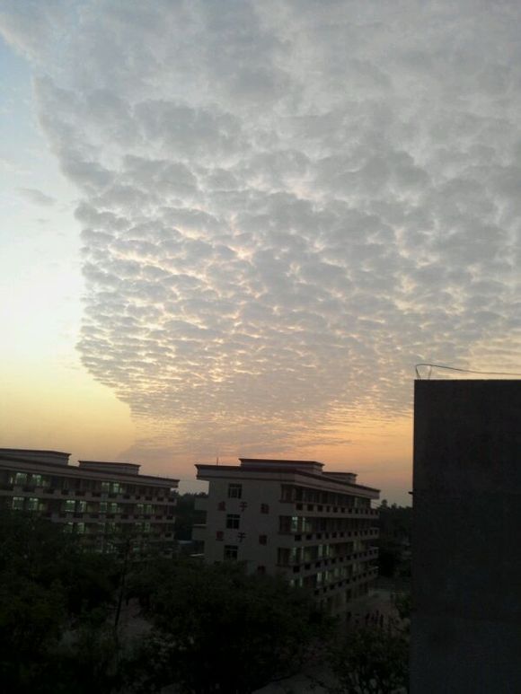 遂溪县第四中学