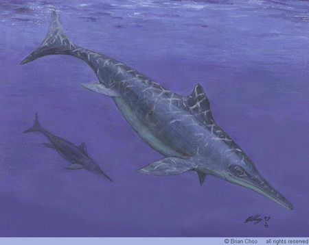  p>克柔龙(属名:kronosaurus)又名克诺龙, a h