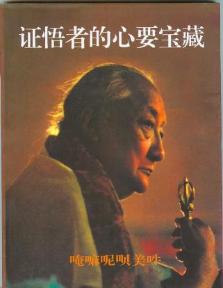 是唵嘛呢呗美吽出版的图书,作者是顶果钦哲仁波切